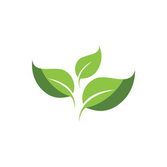 Logos of green Tree leaf ecology nature element