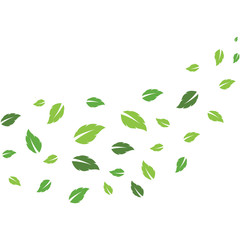 flying leaves logo vector template.design for