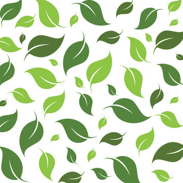 flying leaves logo vector template.design for © dar