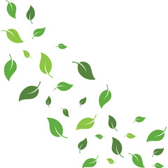 flying leaves logo vector template.design for