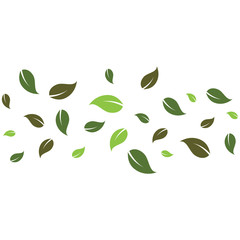 flying leaves logo vector template.design for