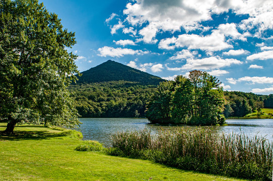 Summer by the Lake