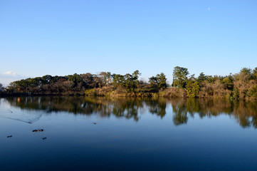 Fototapeta na wymiar 無風で綺麗なリフレクションが映る鏡のような水面を水鳥が泳いでいる風景