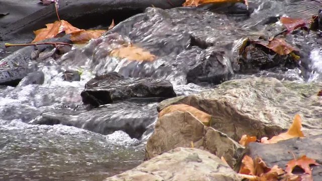 Close up of a small creek as the water flows through rocks with fallen leaves scattered about.  This creek is located at Iowa State University in Ames, Iowa.