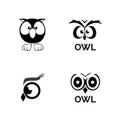 owl bird illustration logo template vector icon