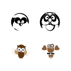 owl bird illustration logo template vector icon