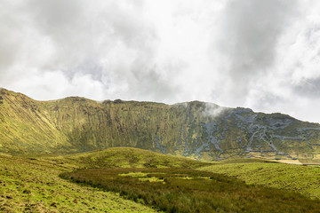 Reeds grow in the swampy area of the basin of the Corvo caldera on the island of Corvo in the Azores, Portugal.