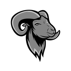 grey goat mascot logo. strong face goat vector illustration