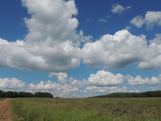 Fototapeta premium huge clouds over the field