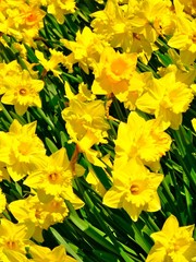 London, UK in England