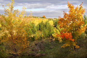 Multi-colored paints of the autumn forest