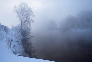Frosty foggy morning by the river, trees and bushes in hoarfrost, the sun rises