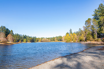 pattern of sunlight and shadow leading to lake with forest