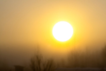 Soft focus. Early morning. The sun is very bright. Very thick and heavy fog