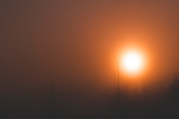 Soft focus. Early morning. The sun is very bright. Very thick and heavy fog