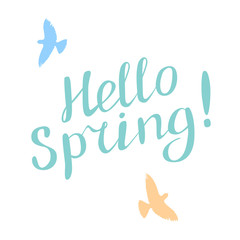 Hello spring! lettering isolated on background. Handwritten vector Illustration.