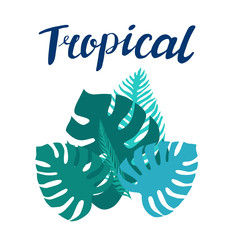 Tropical seamless pattern. Illustration for backgrounds, card, posters, banners, Monstera textile prints, cover, web design. Eat healthy. Vector icons.