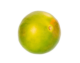 Fresh green lime  isolated on white background.
