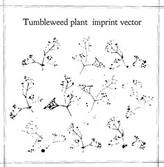 vector imprint of the branch flowers