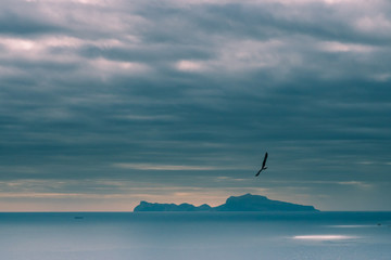 Panorama of the island of Capri on a cloudy day with the seagull in flight