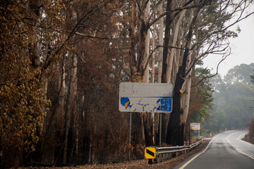 Australian bushfires: burnt road sign and eucalyptus tree near the road at Blue Mountains.