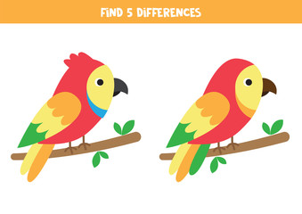 Find five differences between two parrots. Logical game for kids.