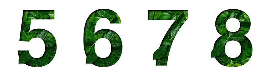 Font leafs 5,6,7,8 made of Real alive leafs with Precious paper cut shape. Leafs font collection...