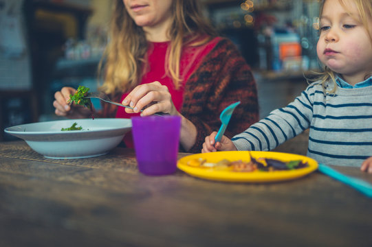 Mother and toddler having lunch in a cafe