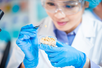 Food Safety Concept