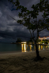 Tropical tree on beach at night with storm 
