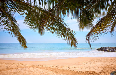 Fototapeta na wymiar Tropical beach, summer vacation concept.