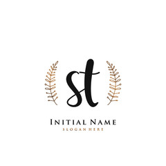 ST Initial handwriting logo vector	