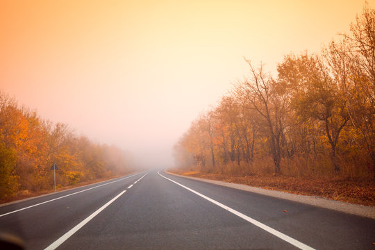 Highway in the autumn misty morning. Nature landscape