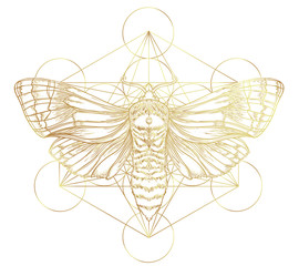 Golden moth over sacred geometry sign, isolated vector illustration. Tattoo flash. Mystical symbols and insects in gold. Alchemy, occultism, spirituality. Hand-drawn vintage.