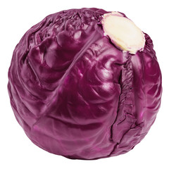 Obraz premium red cabbage, isolated on white background, clipping path, full depth of field