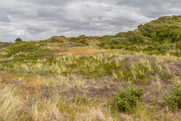 Spiekeroog in East Frisia