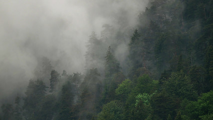 Wolken in den Bergen