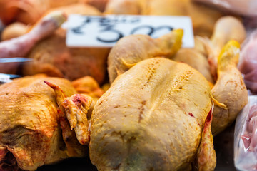 Raw whole chickens with uncooked skin in butcher shop grocery store closeup showing texture in Florence Italy