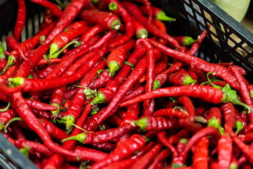 Closeup of many small raw vibrant colorful red color hot chili peppers in plastic crate box stall on display at farmers market in Florence, Italy