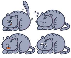 neko_grey2