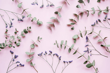 Composition of flowers on a pink background. Branches of limonium and eucalyptus, top view