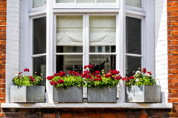 London city downtown with closeup of large bay window and red green flower decorations on sunny...