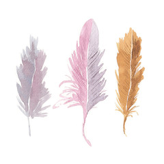 Watercolor feather set. Collection of hand-drawn sketch illustration of a bird feather. Isolated on a white background.