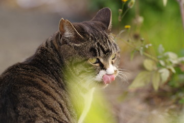 リラックスして