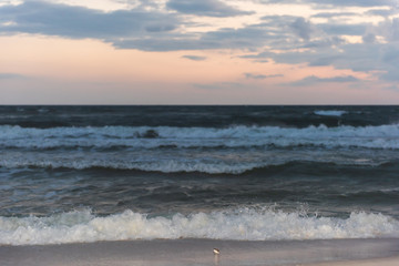 Dark sunset in Santa Rosa Beach, Florida near Pensacola coast in panhandle with ocean gulf of mexico waves crashing on sand shore and Sanderling bird