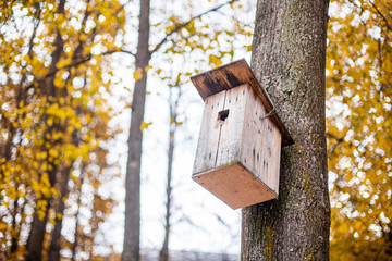 Birdhouse on the tree. Shelter for birds. A house on a tree.