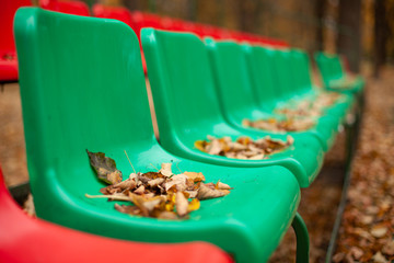 Empty sports grandstand in the leaves in the fall. Yellow leaves lie on a seat of a tribune. Plastic seats required are covered with tree foliage in the fall.