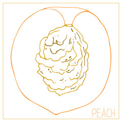 Vector silhouette of a peach slice. Isolated drawing fruit on a white background.