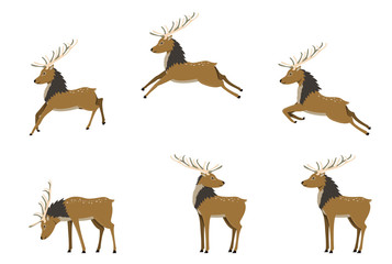 A set of deers in differet poses. Deer jump, fly and stand. Cute deer with antlers in flat cartoon style. Christmas and New Year decoration element. Isolated vector illustration.