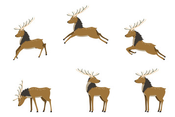 A set of deers in differet poses. Deer jump, fly and stand. Cute deer with antlers in flat cartoon style. Christmas and New Year decoration element. Isolated vector illustration. © Anastasiya